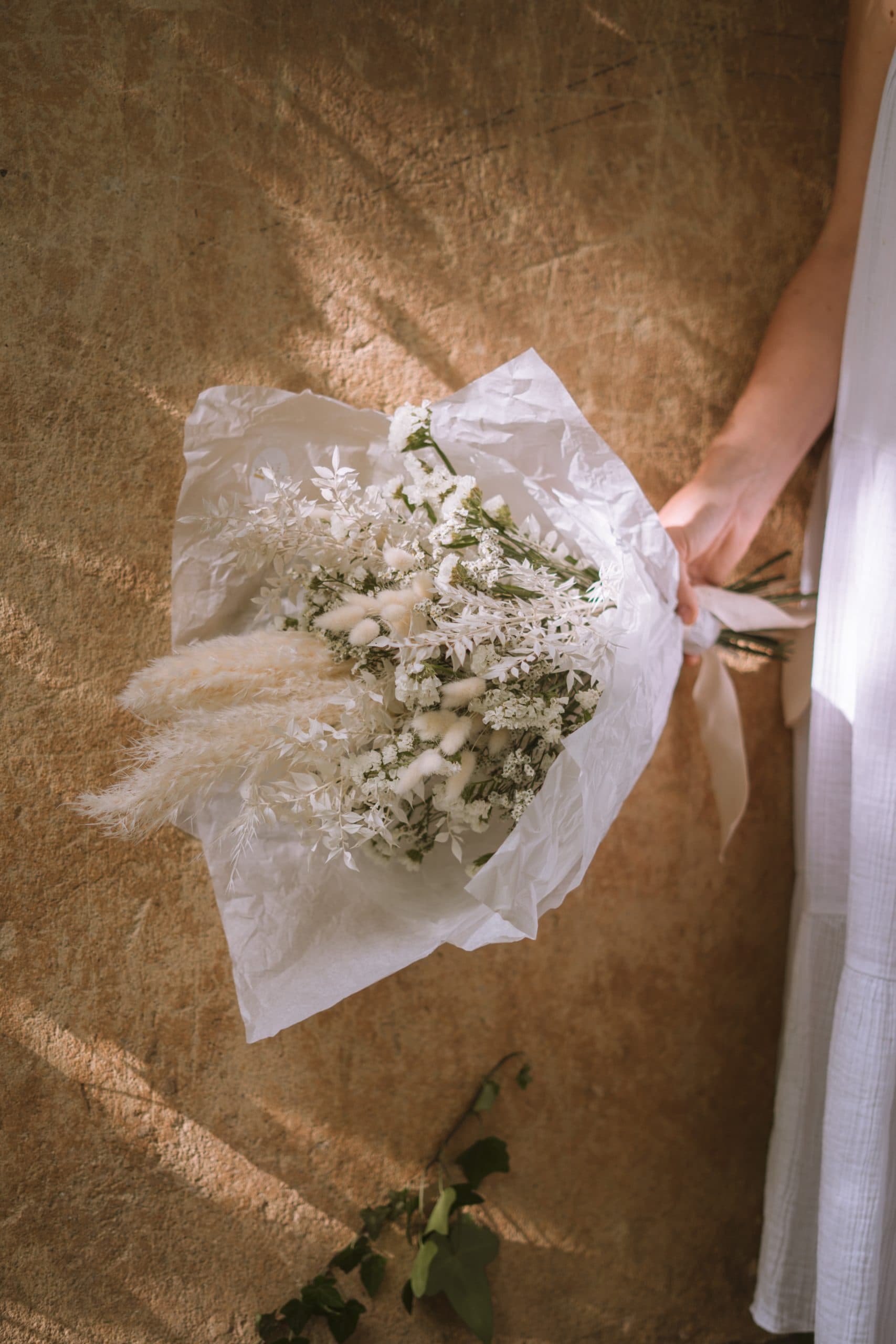 SUH ŠOPEK LIMONIUM